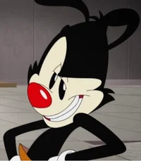 Yakko warner