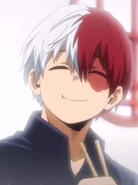 Shoto Todoroki 