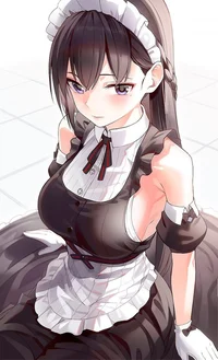 Maid