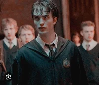Cedric diggory 