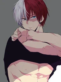Shoto Todoroki