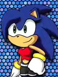 Sonica The Hedgehog 