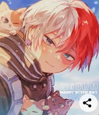 Shoto Todoroki