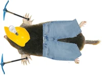 Mining mole