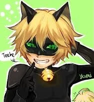 Cat Noir