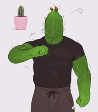 cactus boyfriend 