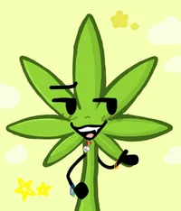 Weed