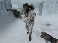 csgo arctic skin