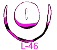 L-46