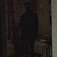 Shadow man