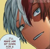 Shoto Todoroki
