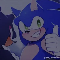 Sonic T Hedgehog