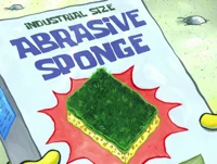 Abrasive Sponge