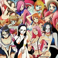 One Piece Girl Harem