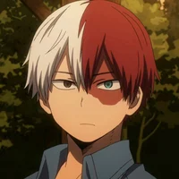 Shoto todoroki
