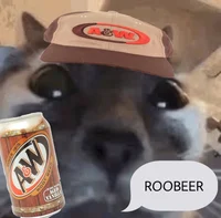 Roobeer Cat