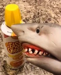 Shark puppet