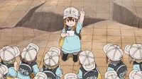 Platelets 