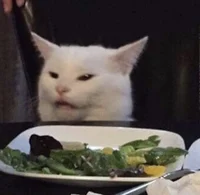 Smudge The Cat 
