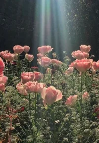 Fairies v Hunters RP