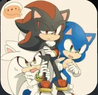 Sonic andShadow 