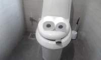 Mr toilet