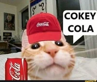 Cokey Cola Cat