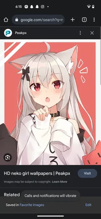 Neko