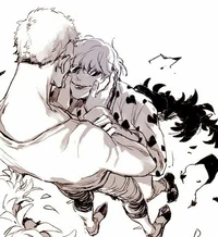 Corazon n Doflamingo