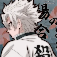Sanemi shinazugawa