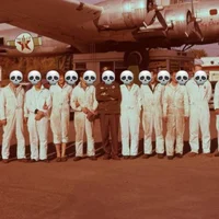 Wd i ww4 planers
