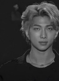 Kim Namjoon 