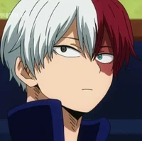 Shoto Todoroki