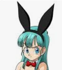 Bunny bulma