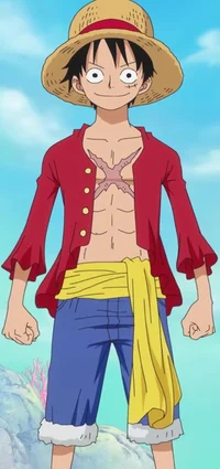 Monkey D Luffy