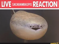 Sacambaspis