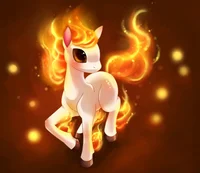 Ponyta