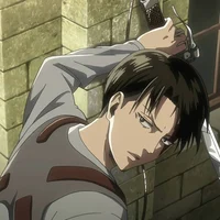 Levi Ackerman 