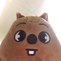 HANQUOKKA