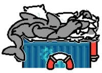 Sleeping tiger shark