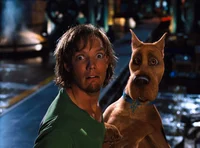 Shaggy Rogers