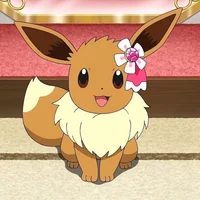 Evee