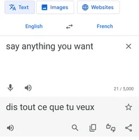 Translate Word AI