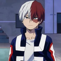 Shoto Todoroki