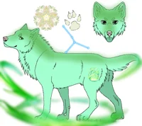 Nature wolf