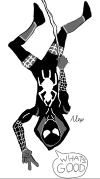 Bezerk-Spider 