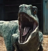 Hungry Raptor