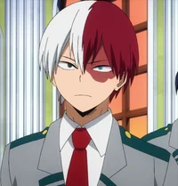 Shoto Todoroki 