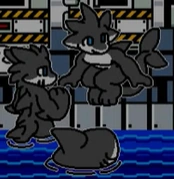 Pack of latex sharks