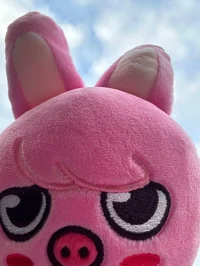 Dwaekki